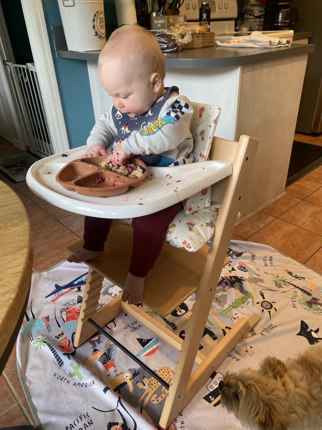 Stokke Tripp Trapp High Chair 2 + Baby Set + Harness, Natural | Includes Chair, Baby Set, Removable Harness for Children 6-36 Months, Adjustable, Ergonomic & Easy to Clean, Baby Essentials customer photo 2
