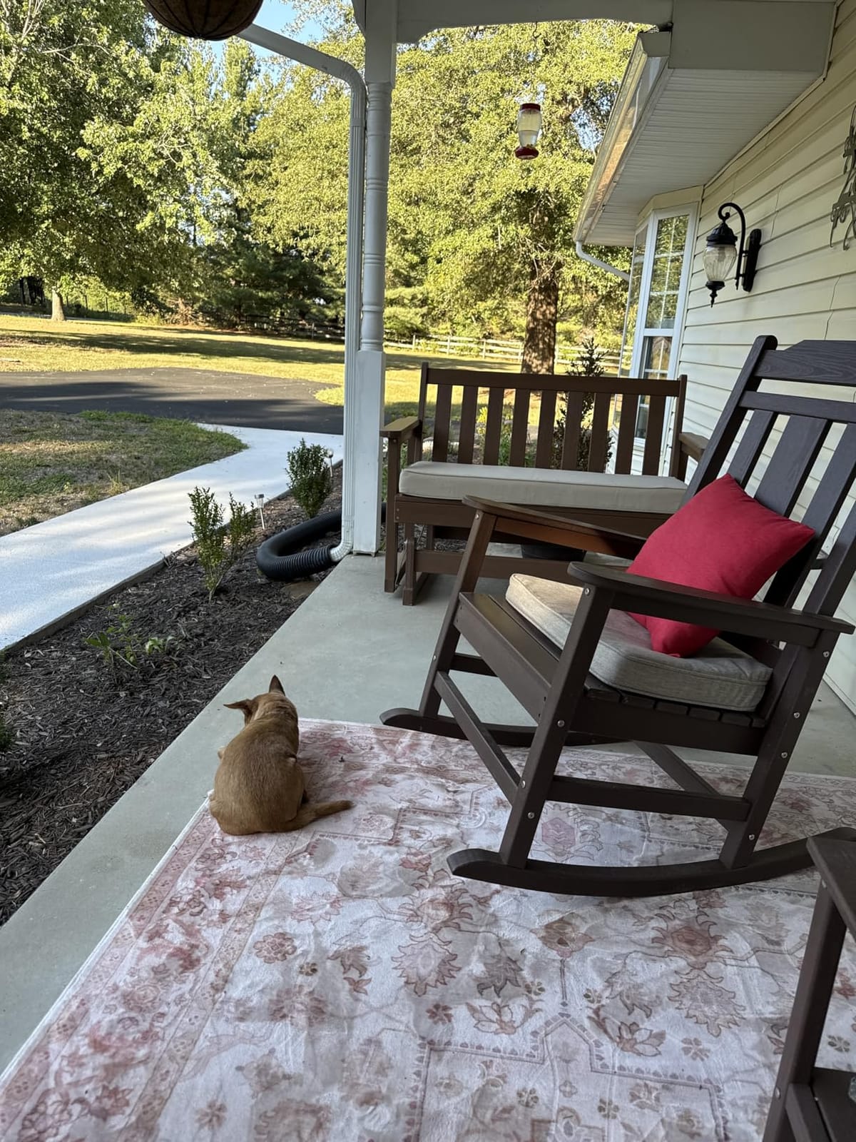 SERWALL Outdoor Glider Rocking Chair, HDPE All-Weather Resistant 2-Person Loveseat, Outdoor Rocking Bench Chair with 660LBS Capacity for Backyard Garden Porch, Grey customer photo 2