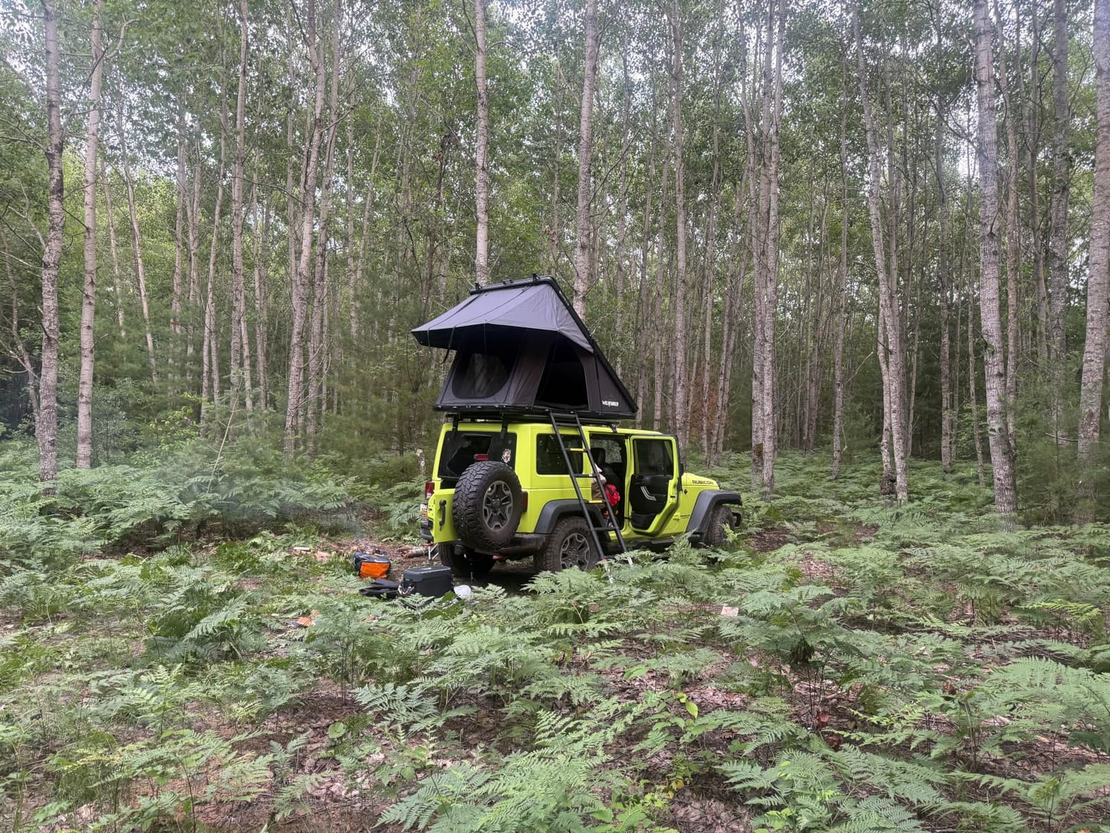 WildFinder Rooftop Tent, Hard Shell Roof Top Tent for Jeep SUV Truck Van | Aluminum Pop Up Roof Tent with LED Light Strip, Camping Car Roof Tent for 2-3 Person, Hardshell Rooftop Tent customer photo 2