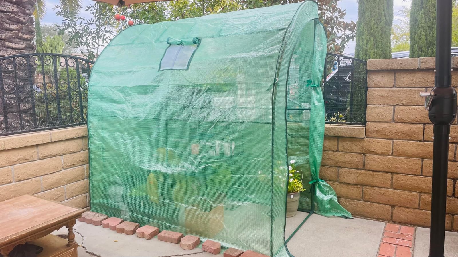 VEVOR Walk-in Tunnel Greenhouse, 9.6x6.4x6.2 ft Hoop House Greenhouse Tunnel, Plant Hot House with Galvanized Steel Frame, Green PE Cover, Roll-up Zipper Door and 6 Windows for Outdoor customer photo 1