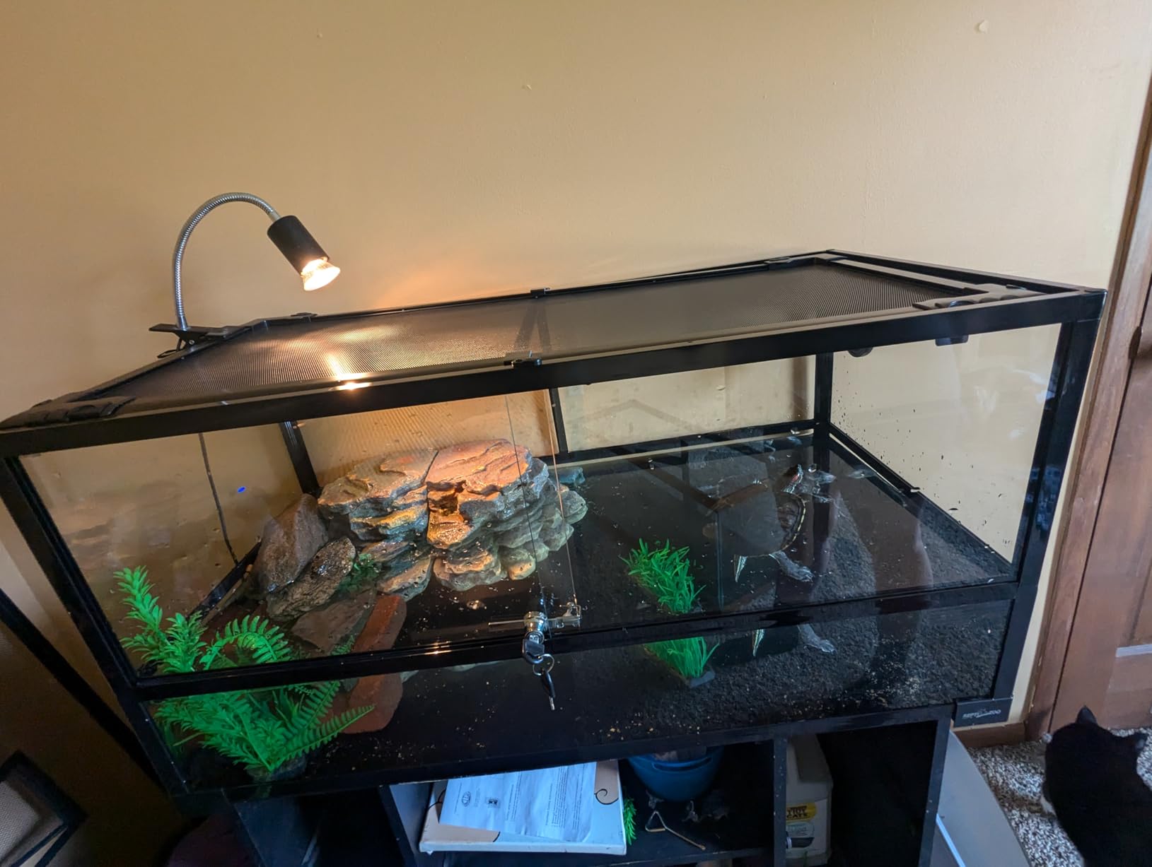 REPTIZOO 67 Gallon Large Turtle Tank Aquarium, 48x18x18 Tortoise Habitat Water-Land Ecological Turtle Tank with Drainage System customer photo 1