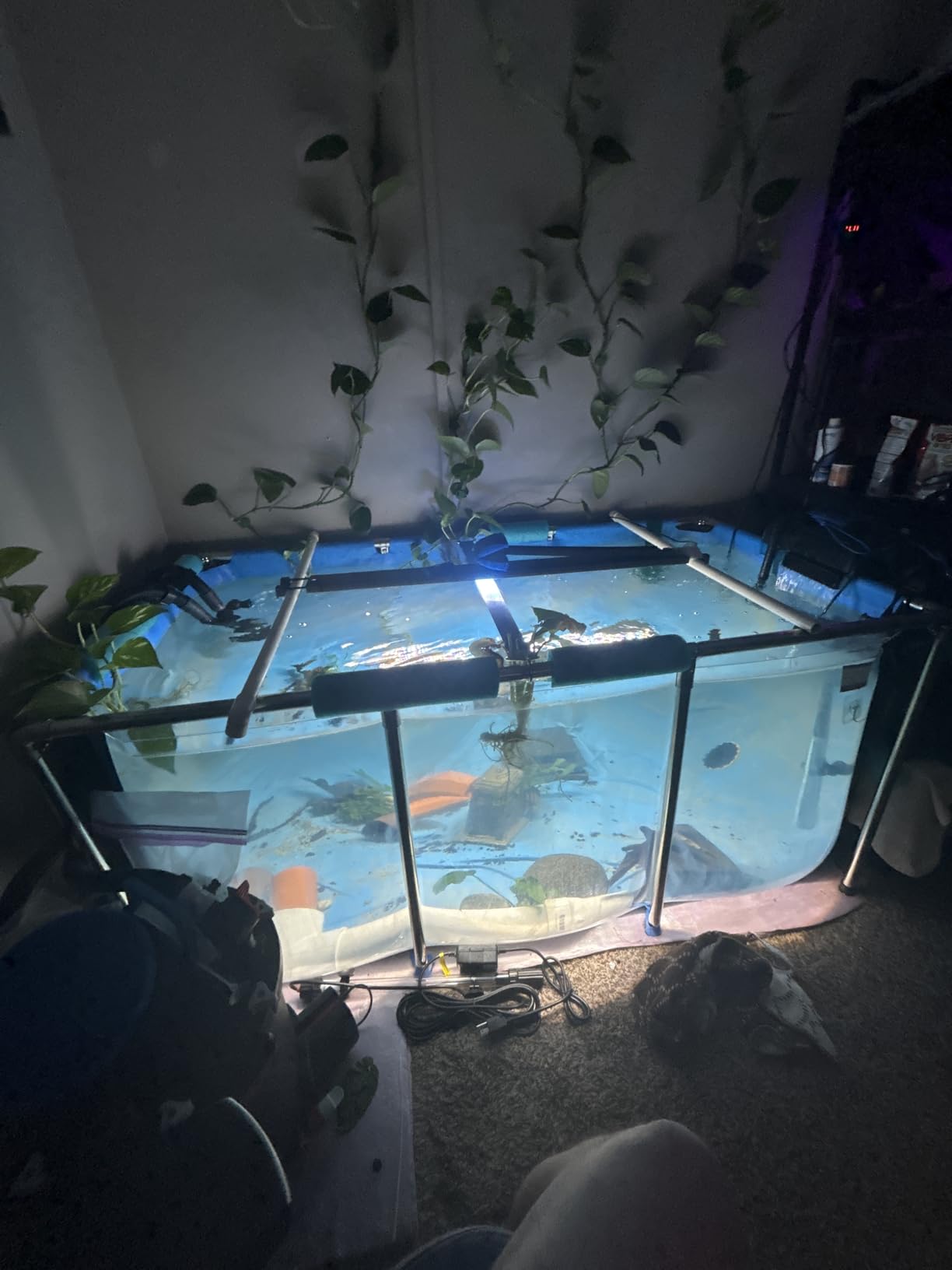PVC Fish KOI Aquarium Tank w/ Clear View Panel (59.0L x 31.5W x 27.6H, 200 Gal) customer photo 1