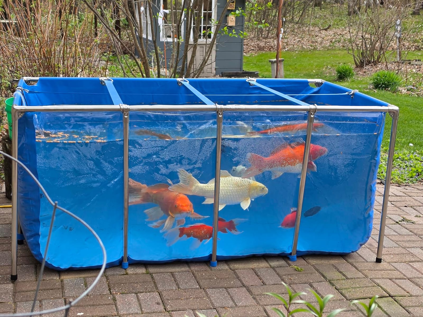 PVC Fish KOI Aquarium Tank w/ Clear View Panel (47.3L x 31.5W x 23.6H, 135 Gal) customer photo 2