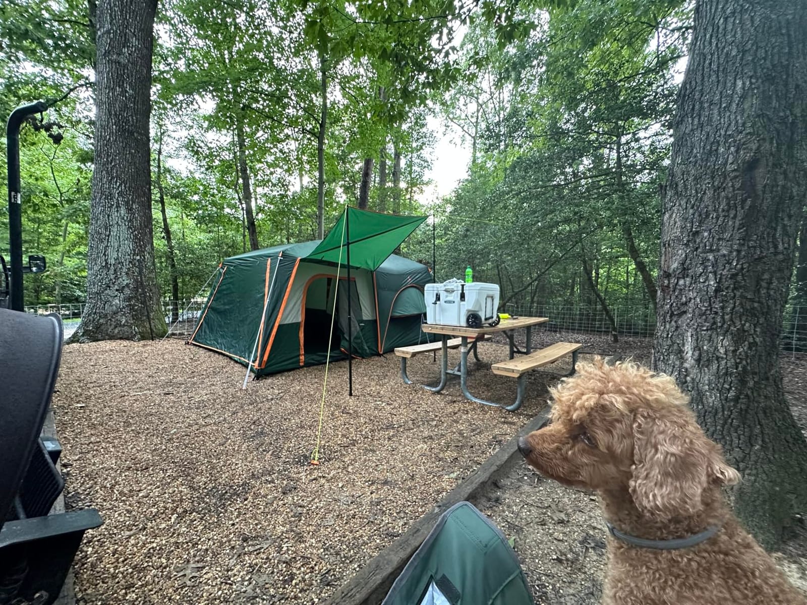 KTT Extra Large Tent 12-14 Person, Family Cabin Tents, 2 Bay-Windows, 2 Rooms and 3 Doors 3 Windows with Mesh, Waterproof, Straight Wall, Double Layer, Big Tent for Outdoor, Picnic, Camping customer photo 1