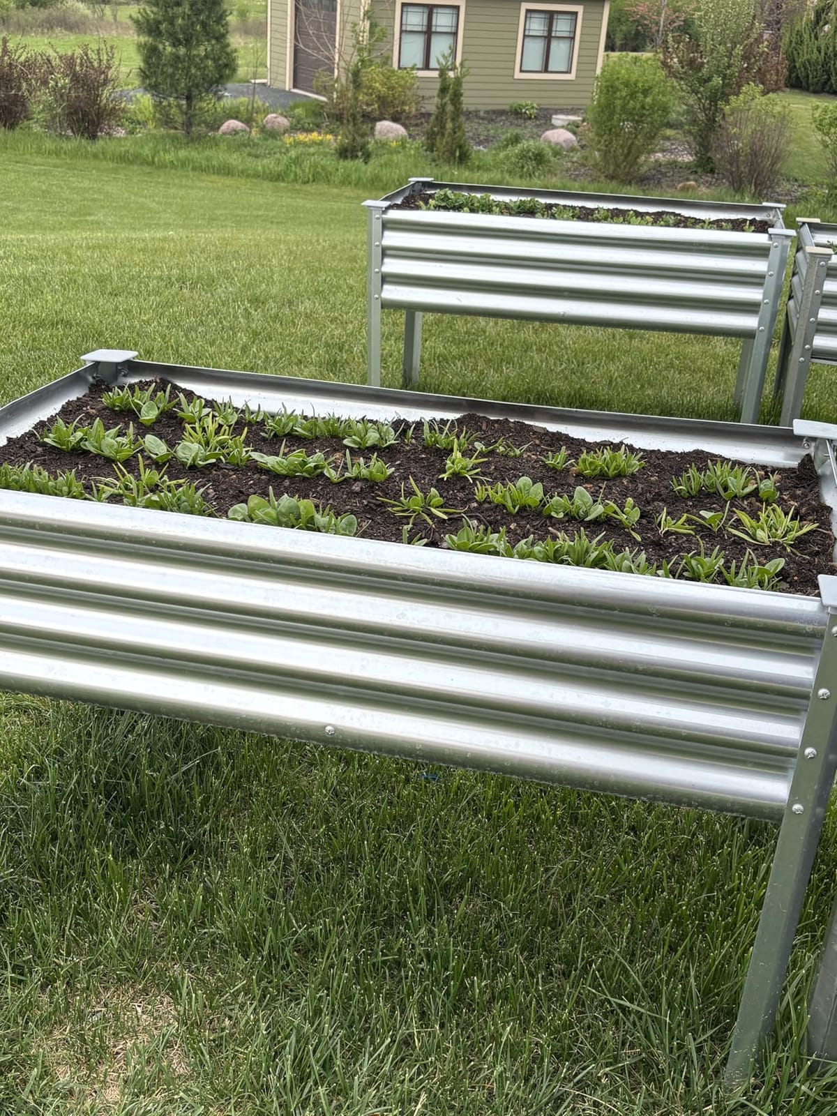 Land Guard 2 Pack Galvanized Raised Garden Bed with Legs, 48×24×32in Large Metal Elevated Raised Planter Box with Drainage Holes for Backyard, Patio, Balcony, 700lb Capacity customer photo 1