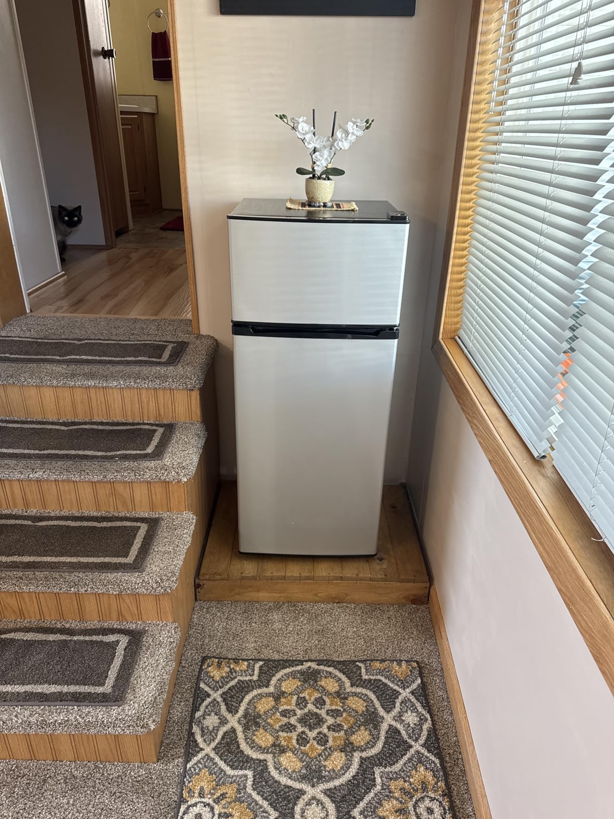 Manastin 4.5 Cu.Ft Mini Fridge Freezer for Dorm/Office, 2-Door, Quiet (38dB) customer photo 1