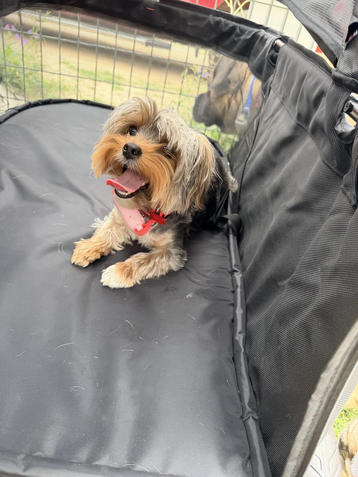 Zoosky Pet Stroller for Large Dogs up to 110lbs, Large Pet Stroller | Multiple Pets(31