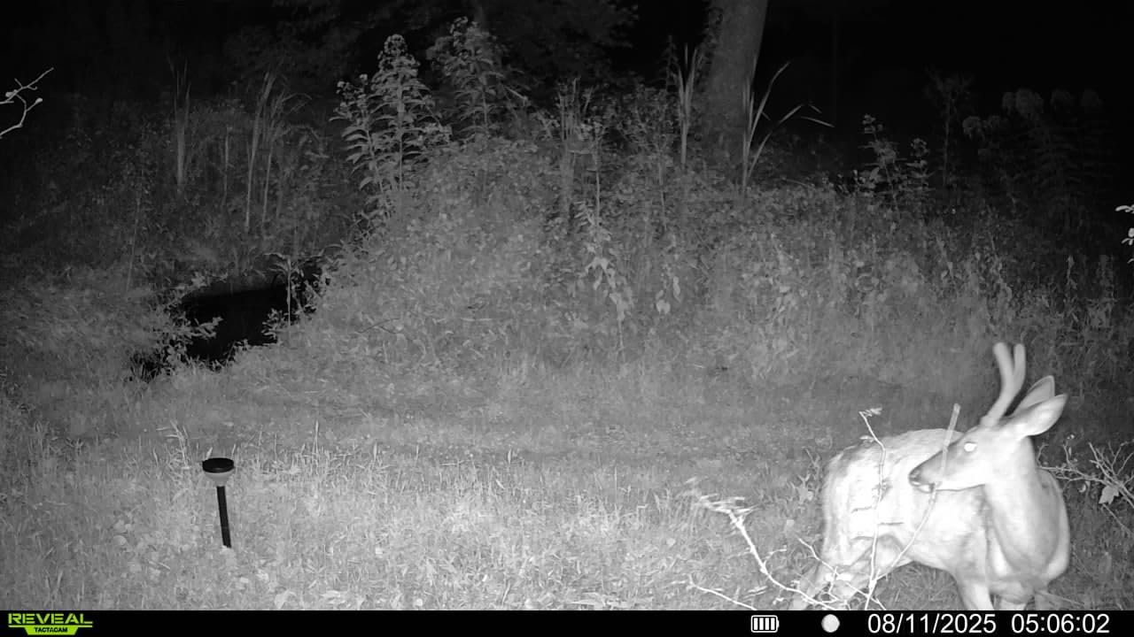 TACTACAM Reveal Ultra Cellular Trail Camera: 4K Photo, 1080p Video, Live View, GPS Tracking-Enabled, Switchable No-Glow/Low-Glow Flash, LTE Connectivity, LCD Screen - Best Hunting, Game Camera customer photo 1
