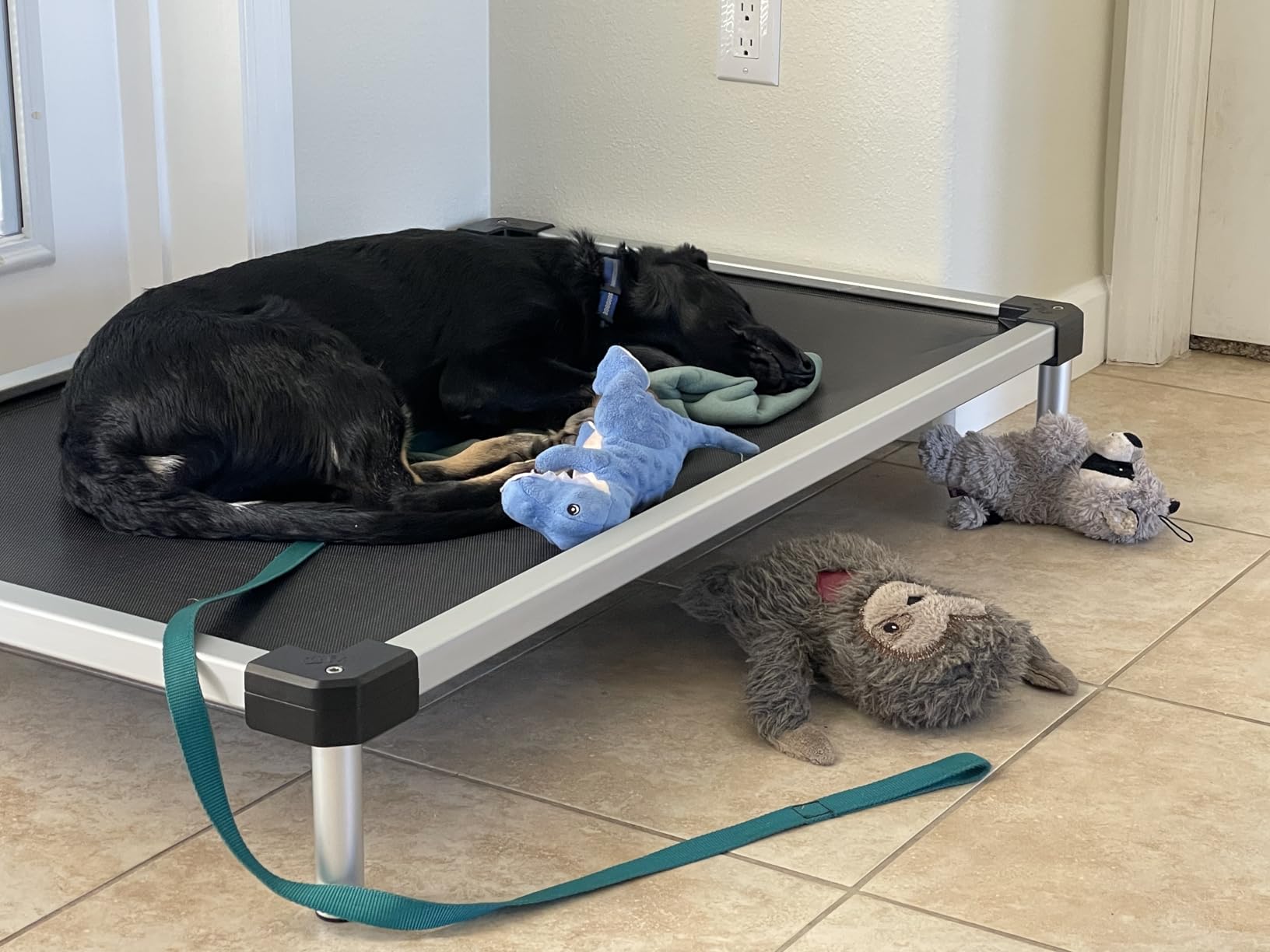 FXW TitanNest Cooling Chew-Proof Elevated Dog Bed for Large Dogs | Easy to Clean, Pre-assembly Raised Cot, Indoor/Outdoor/Camping, 47 x 29 x 7.3in customer photo 1