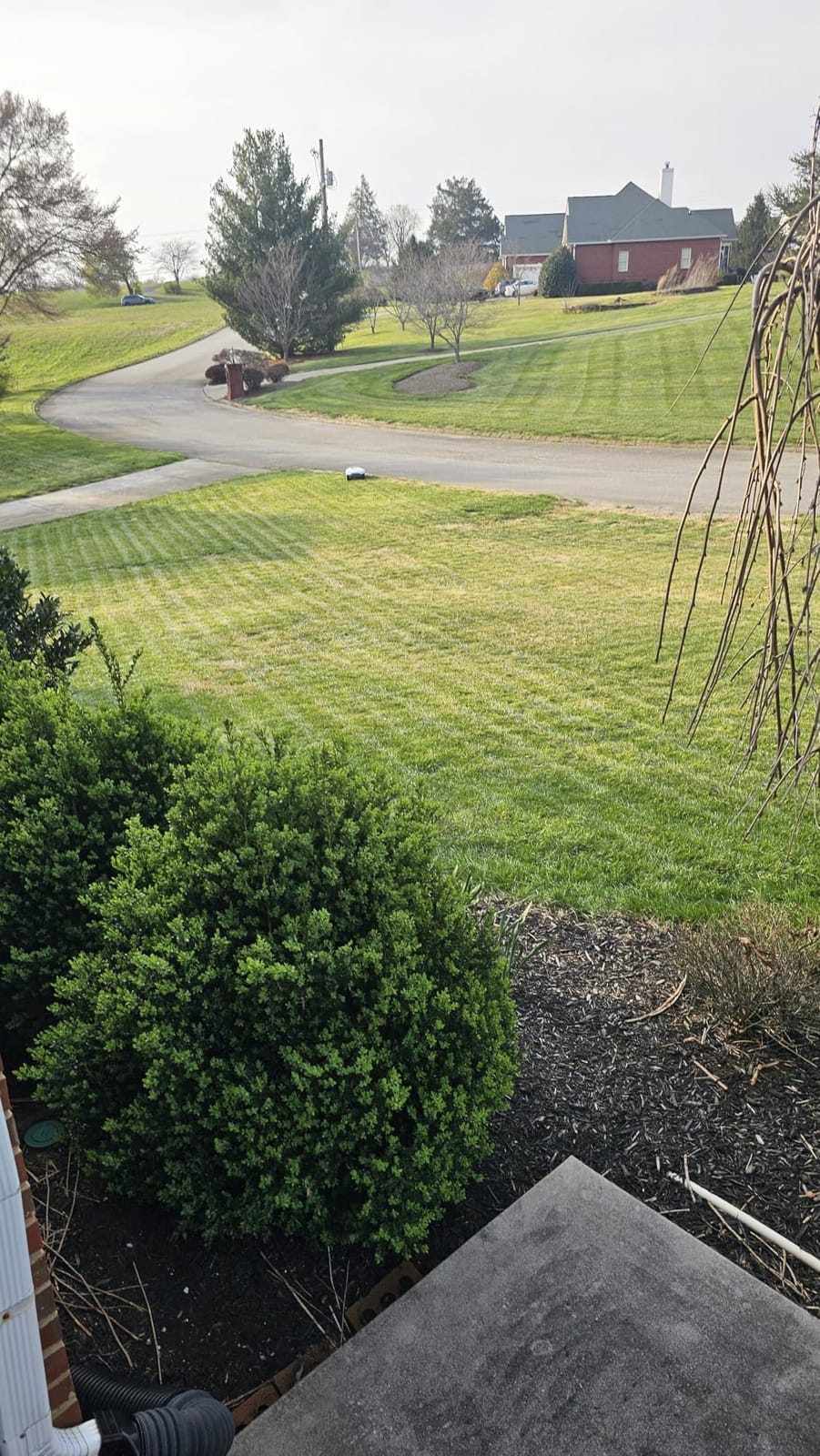 ANTHBOT Genie3000 Robot Lawn Mower - NO Wire, Full Band RTK+4-Eye Vision Robotic Lawnmower for 3/4 Acre, Auto Mapping, Multi-Zone Management, Accurate Obstacle Avoidance, Intelligent Path Planning customer photo 1