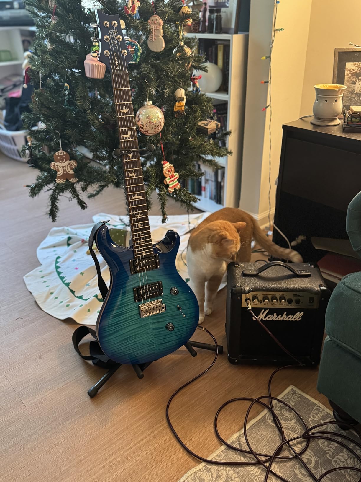 PRS SE Custom 24 Exclusive, Lake Blue with Gigbag customer photo 1