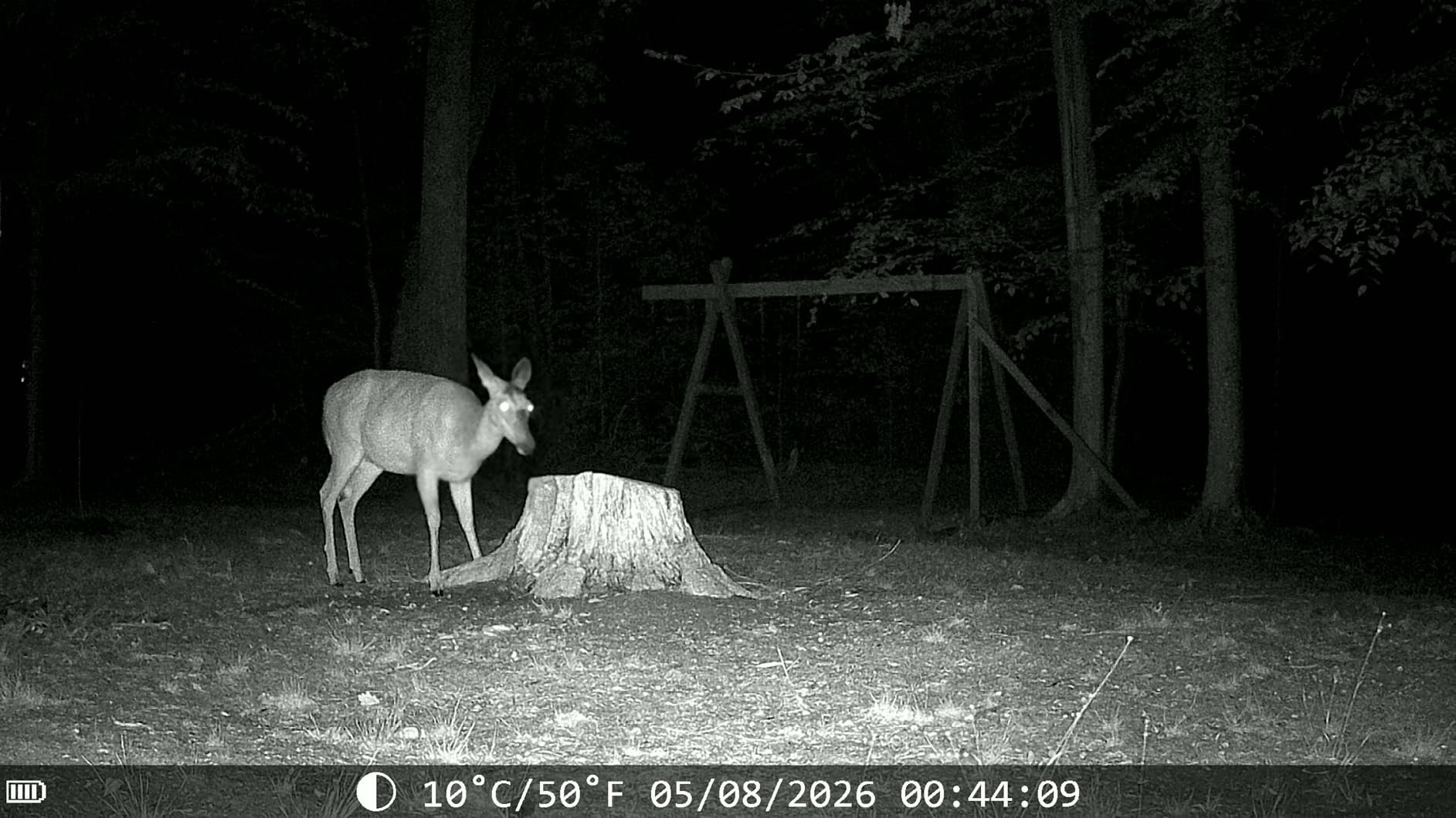 MAXDONE Solar Trail Camera, 4K 64MP WiFi Bluetooth Night Vision Game Camera | Game Camera with Night Vision Motion Activated, 6000mAh Power & 32GB Included, Deer Cameras for Outdoor Backyard IP66 customer photo 2