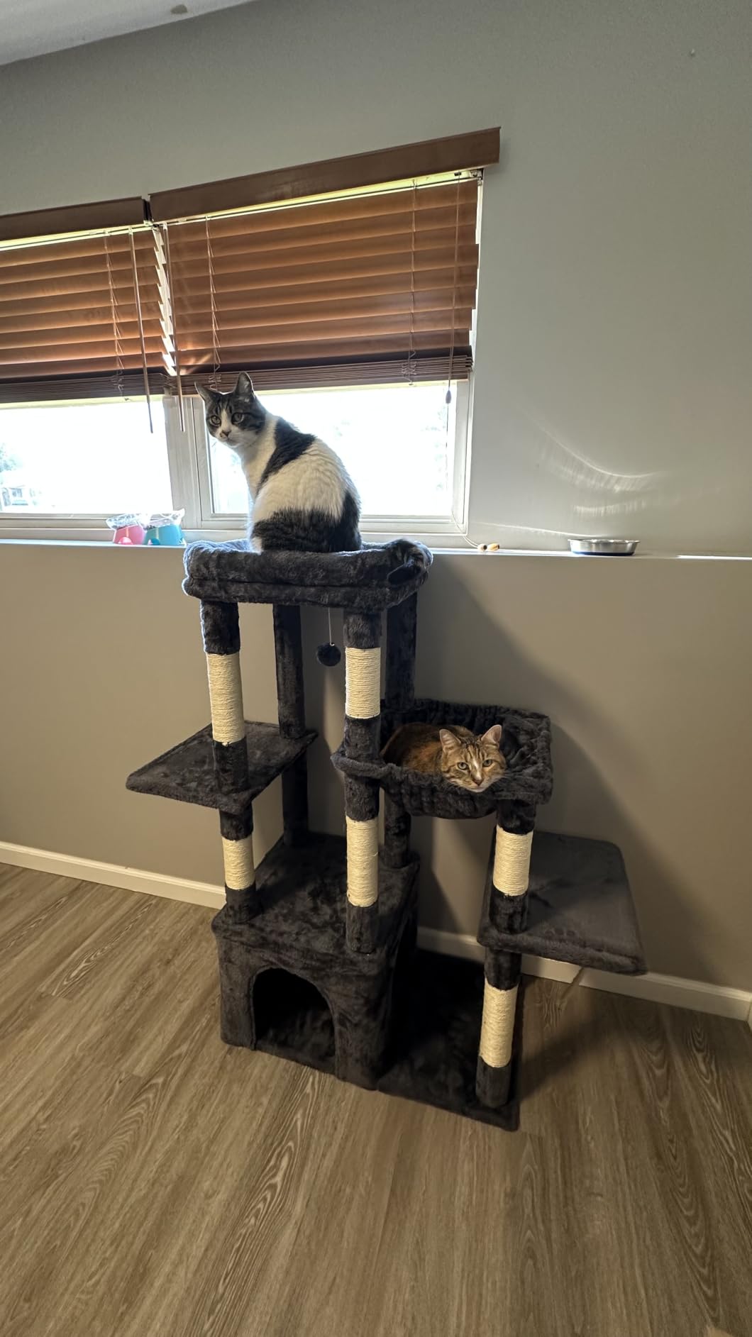 Heybly Heavy Duty Cat Tree with Large Base for Large Indoor Cats HCT026W | Cat Tower with Scratching Posts, Tall Cat Condo House, Multi-Level Plush Furniture with Hammock & Toy Balls, Light Gray customer photo 1