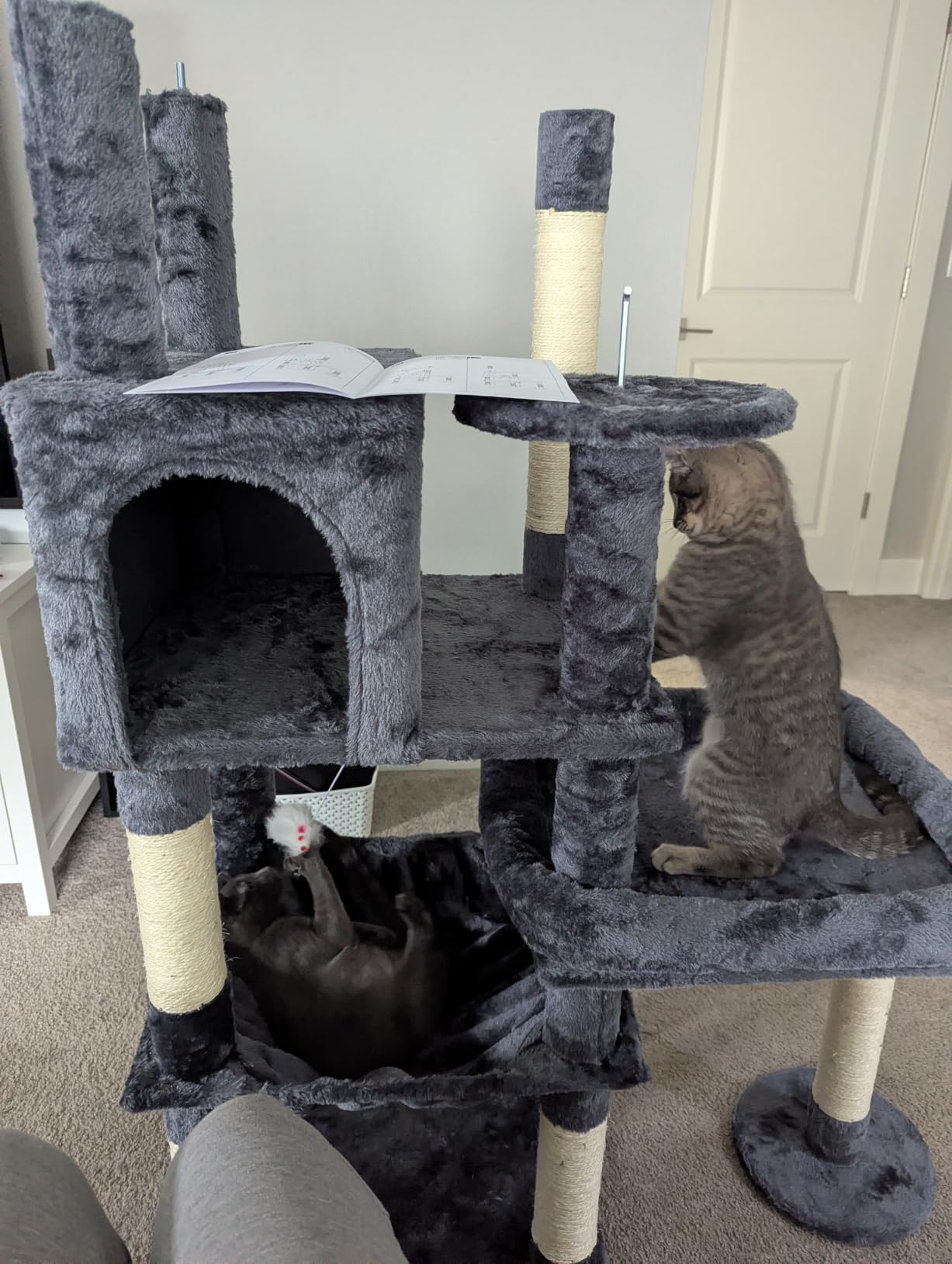 Globlazer Extra Large Platform Cat Tree, 65in Tall Sturdy Cat Tree for Indoor Cats Large Adult, Big Cat Tower for Big Cats with 3 Enlarged Perches, 6 Scratching Posts, Cat Condo, Hammock, S65, Beige customer photo 1
