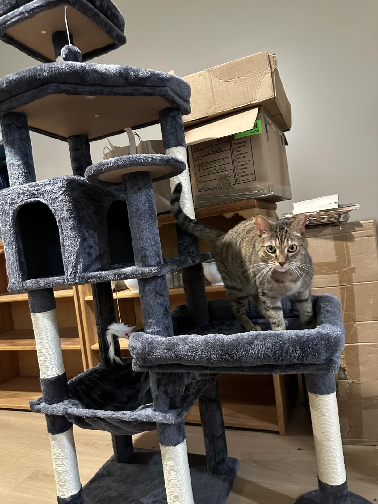 Globlazer Extra Large Platform Cat Tree, 65in Tall Sturdy Cat Tree for Indoor Cats Large Adult, Big Cat Tower for Big Cats with 3 Enlarged Perches, 6 Scratching Posts, Cat Condo, Hammock, S65, Beige customer photo 2