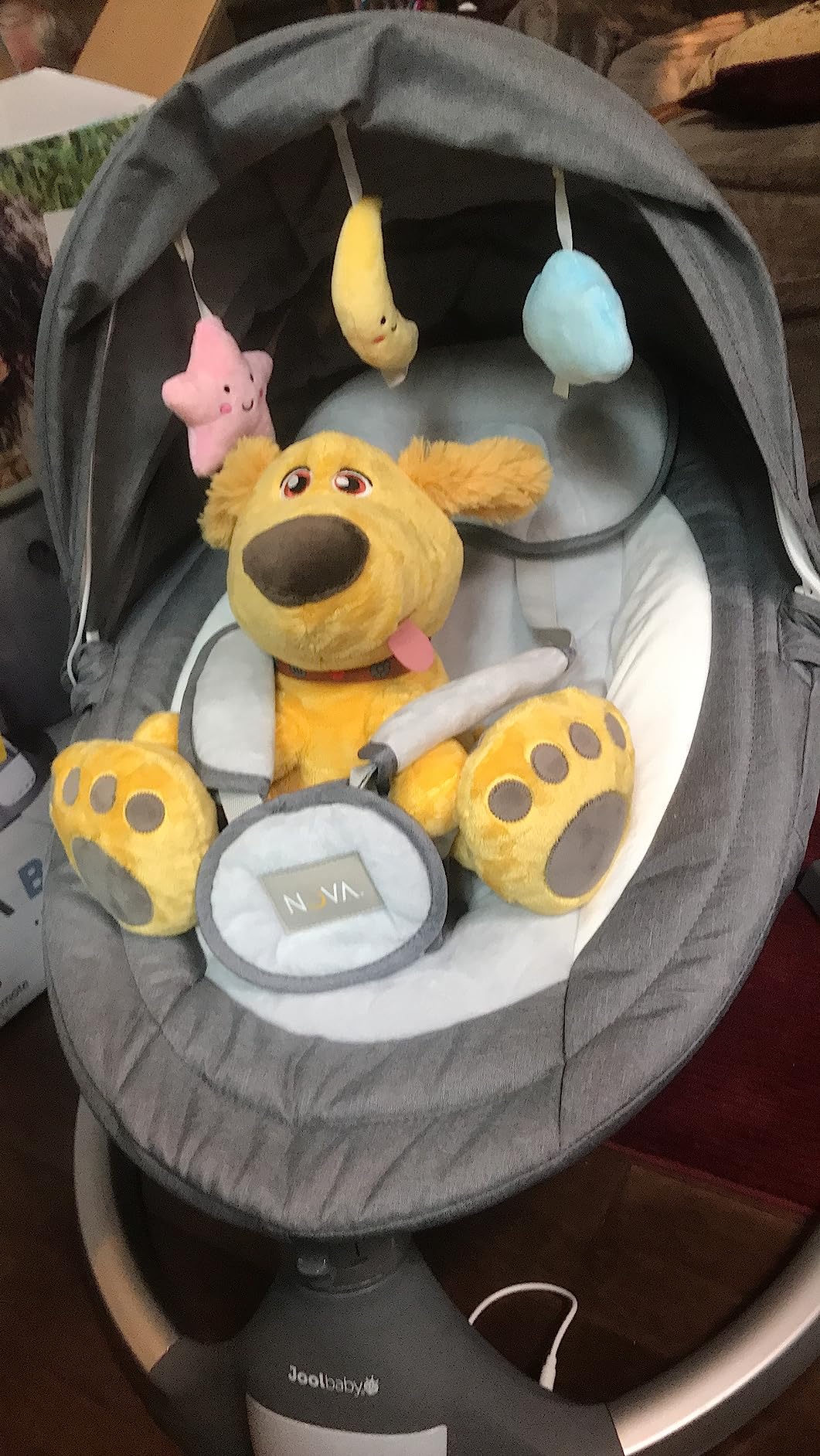 Jool Baby Nova Baby Swing for Infants - Bluetooth Music, Remote (Sage) | Keep Baby Happy While Getting Things Done - Gentle Side-to-Side Motion Helps Baby Feel Content customer photo 1