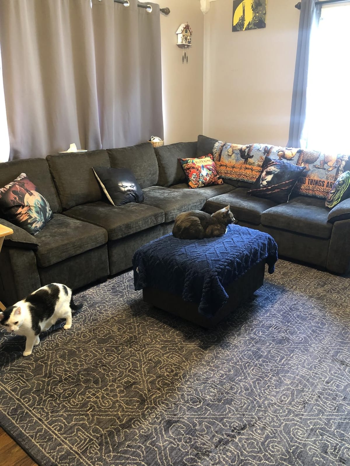 108 Inch Sectional Sleeper Sofa with Pull Out Bed, U Shaped 7 Seat Modular Sectional Sofa with Storage, Sectional Couches for Living Room, Cloud Modular Couch, Removable Sofa Cover, Dark Grey customer photo 2