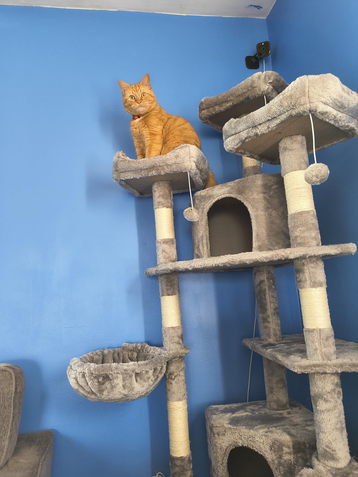 Allewie 73in Fan-Shaped Space-Saving Corner Cat Tower/Multi-Level Tall Cat Tree for Indoor Kitties/Cozy Baskets/Condos/House/Perches/Sisal Scratching Posts/Pet Activity Center/Leopard Print customer photo 2