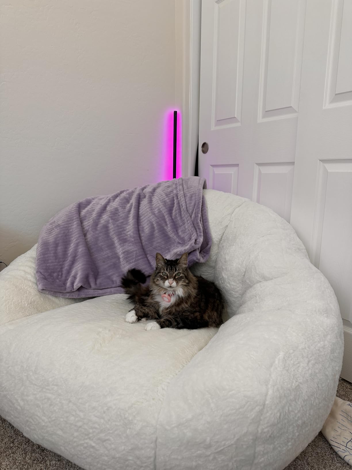 HUGHEAVEN Max Giant Bean Bag Chair, Bean Bag Sofa for Adults & Teens, Oversized Soft Comfy Fluffy Floor Lounge Chair with Armrests customer photo 1