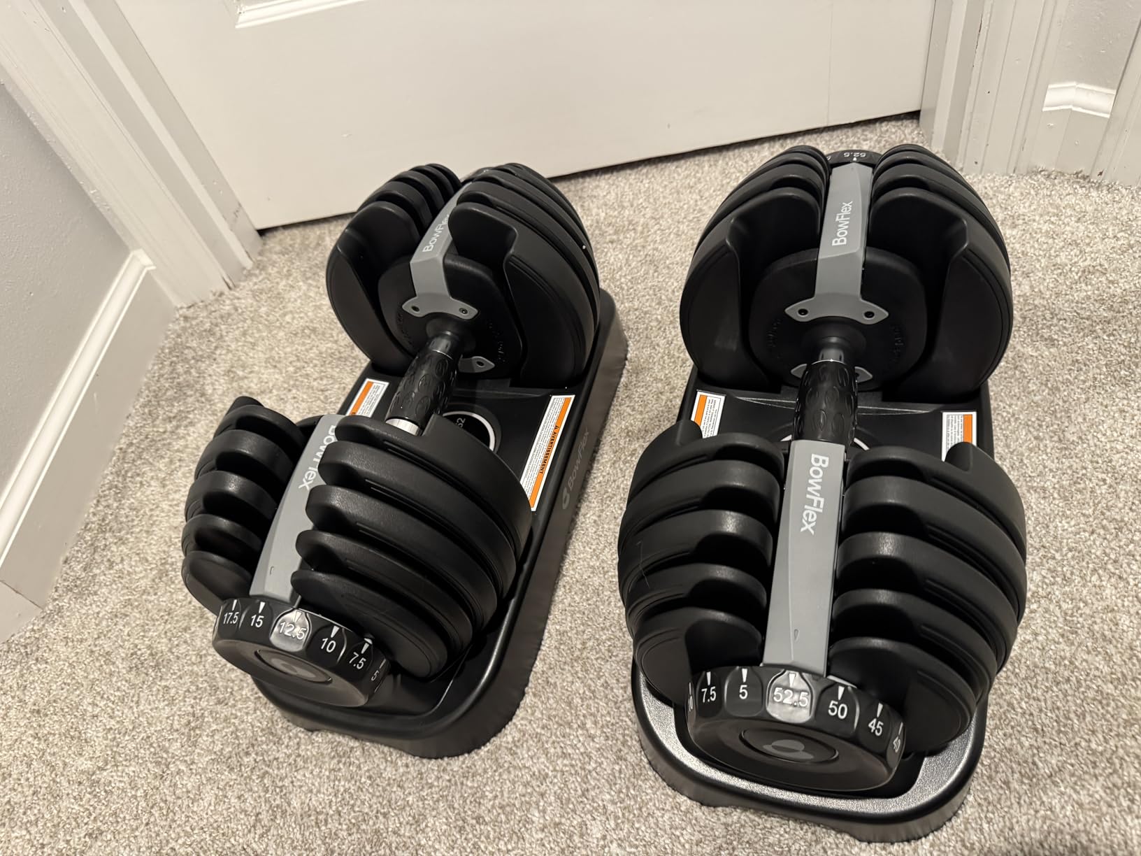BowFlex Results Series SelectTech Dumbbells customer photo 1