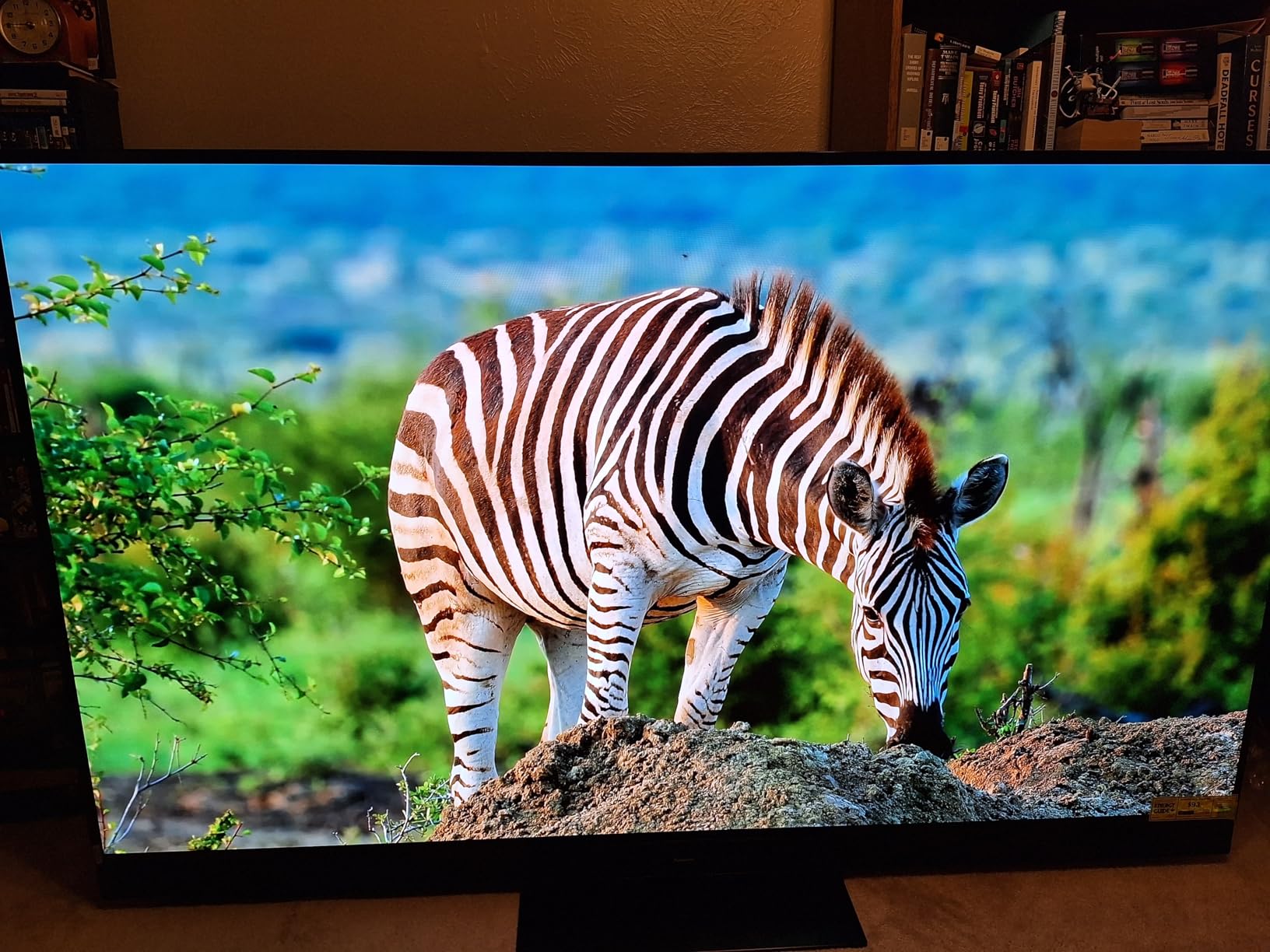 Panasonic Z8 Series (2025) 77-inch OLED 4K Ultra HD Smart Fire TV, Dolby Vision IQ, HDR10+ Adaptive, 144Hz Refresh Rate, Hands-Free Alexa 77Z8BAP customer photo 2