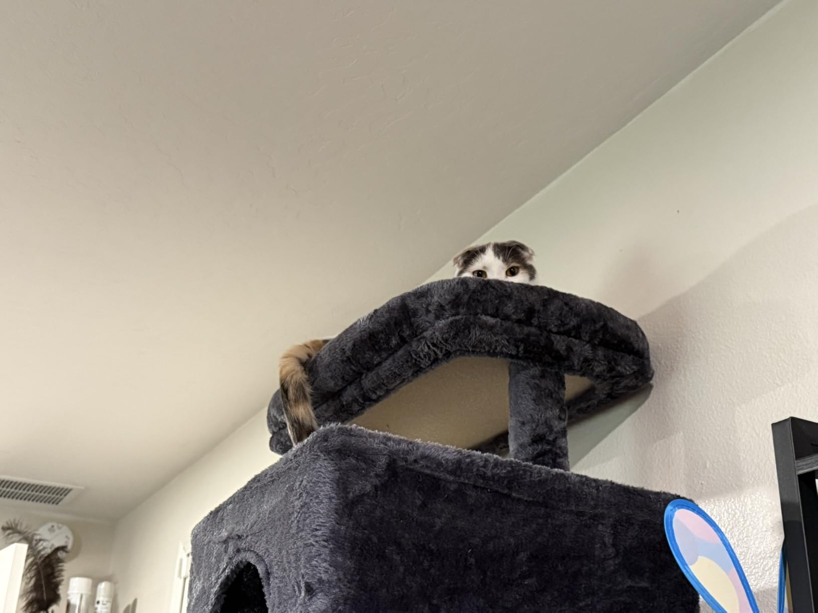 Heybly Cat Tree, 76-Inch Tall Heavy Duty Cat Tower for Big Cats HCT039G | Multi-Level Large Cat Furniture with Extra Wide Baseboard, 2 Condos & 2 Hammocks, 10 Scratching Posts, Smoky Gray customer photo 2