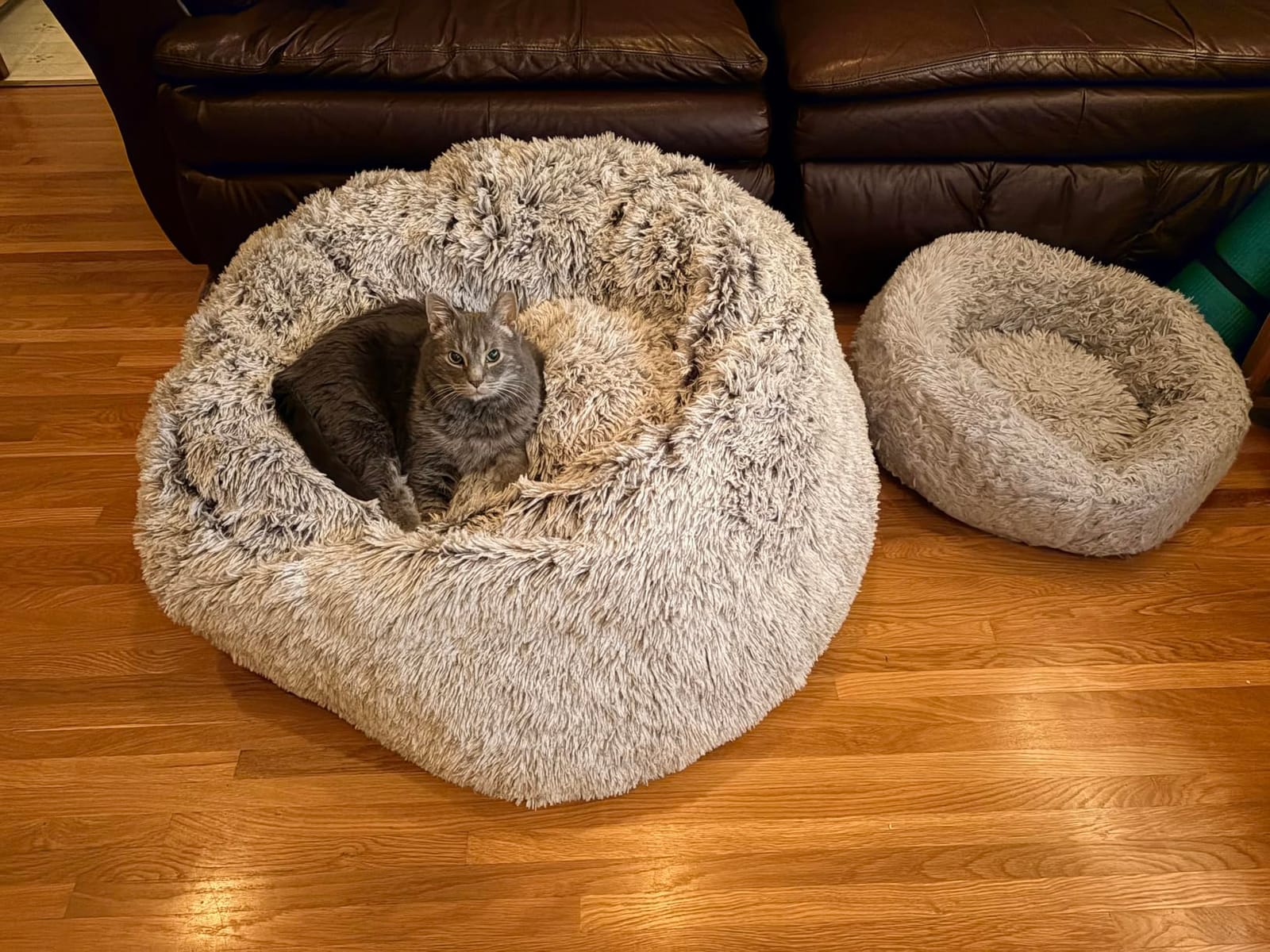 Plush Faux Fur Bean Bag Chairs, Memory Foam Filled Sofa Chair Shape Bean Bag for Adults/Teens/Kids, Ultra-Soft Lazy Sofa for Living Room Bedroom College Dorm, Grey customer photo 1