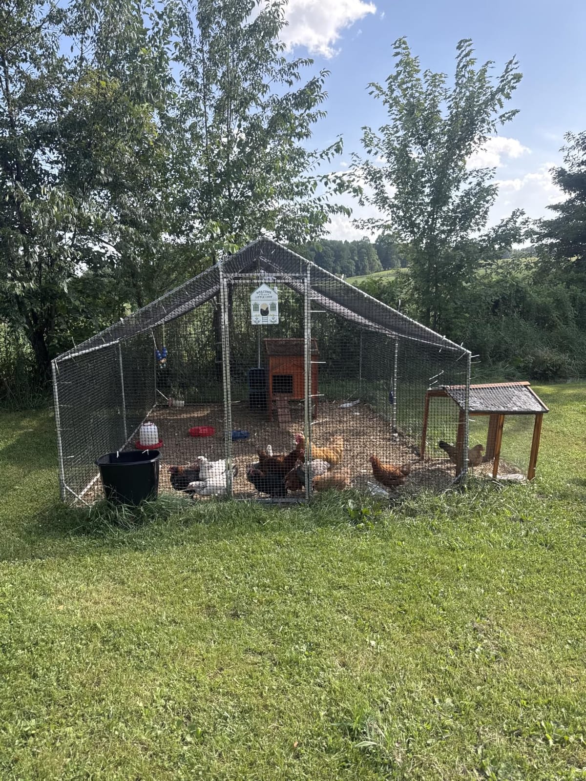 CAMMOO Walk in Chicken Coop, 9.8x6.6x6.6ft Chicken Run for Yard with Cover | Upgrade Double Lock & Mesh, Stainless Steel Ties, Easy Assembly, Chicken Pen for Ducks, Rabbits customer photo 1