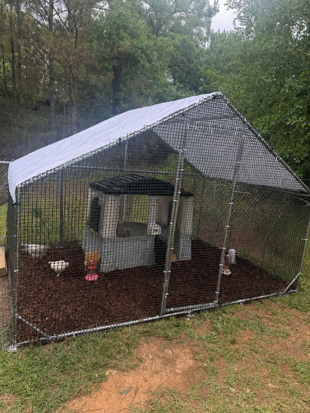 CAMMOO Walk in Chicken Coop, 9.8x6.6x6.6ft Chicken Run for Yard with Cover | Upgrade Double Lock & Mesh, Stainless Steel Ties, Easy Assembly, Chicken Pen for Ducks, Rabbits customer photo 2