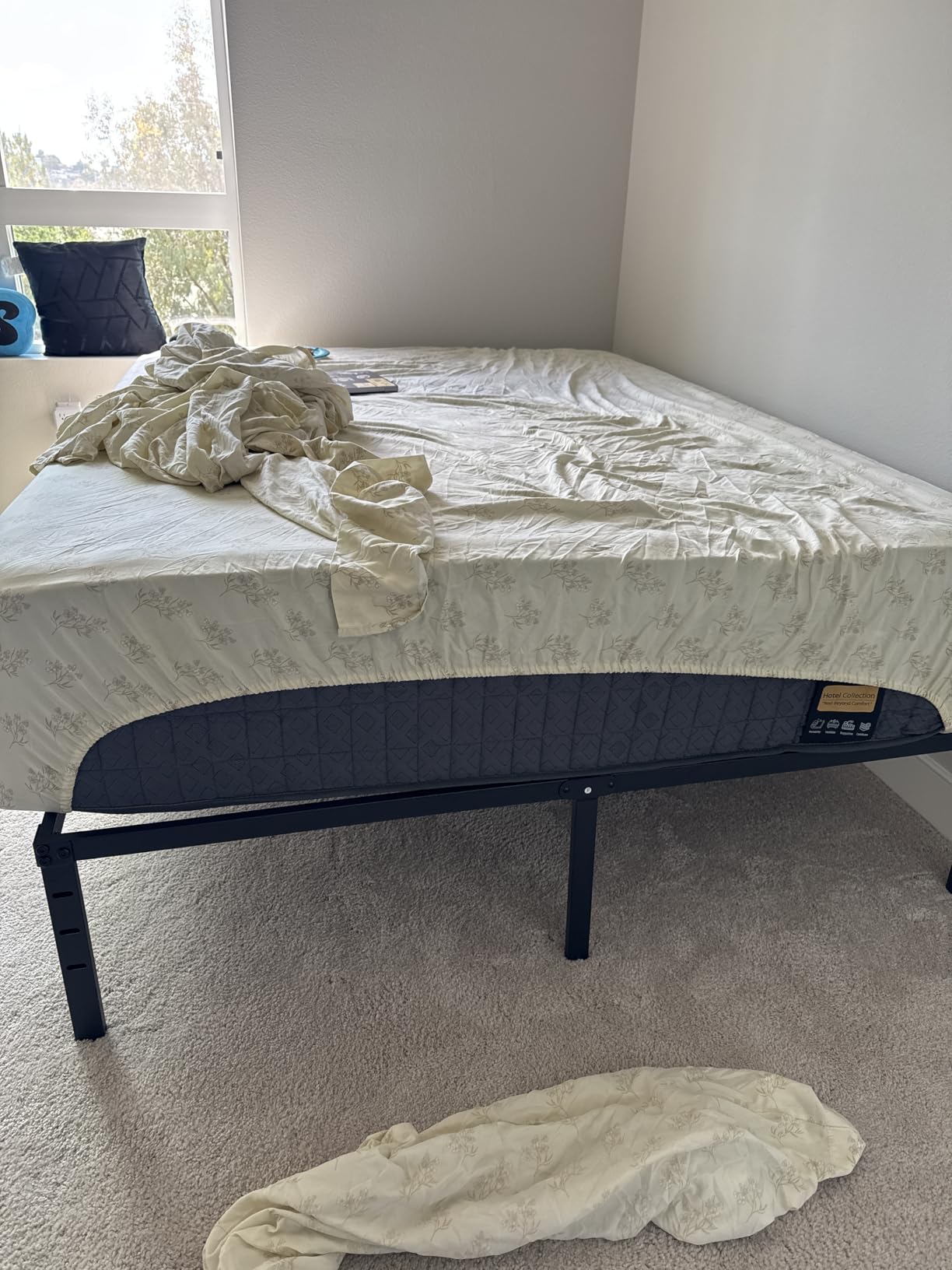 14 inch Medium Firm Mattress Queen, Hybrid Mattress with Back and Lumbar Hip Support, Fiberglass Free, 365 Nights Trial, 10 Years Warranty customer photo 1