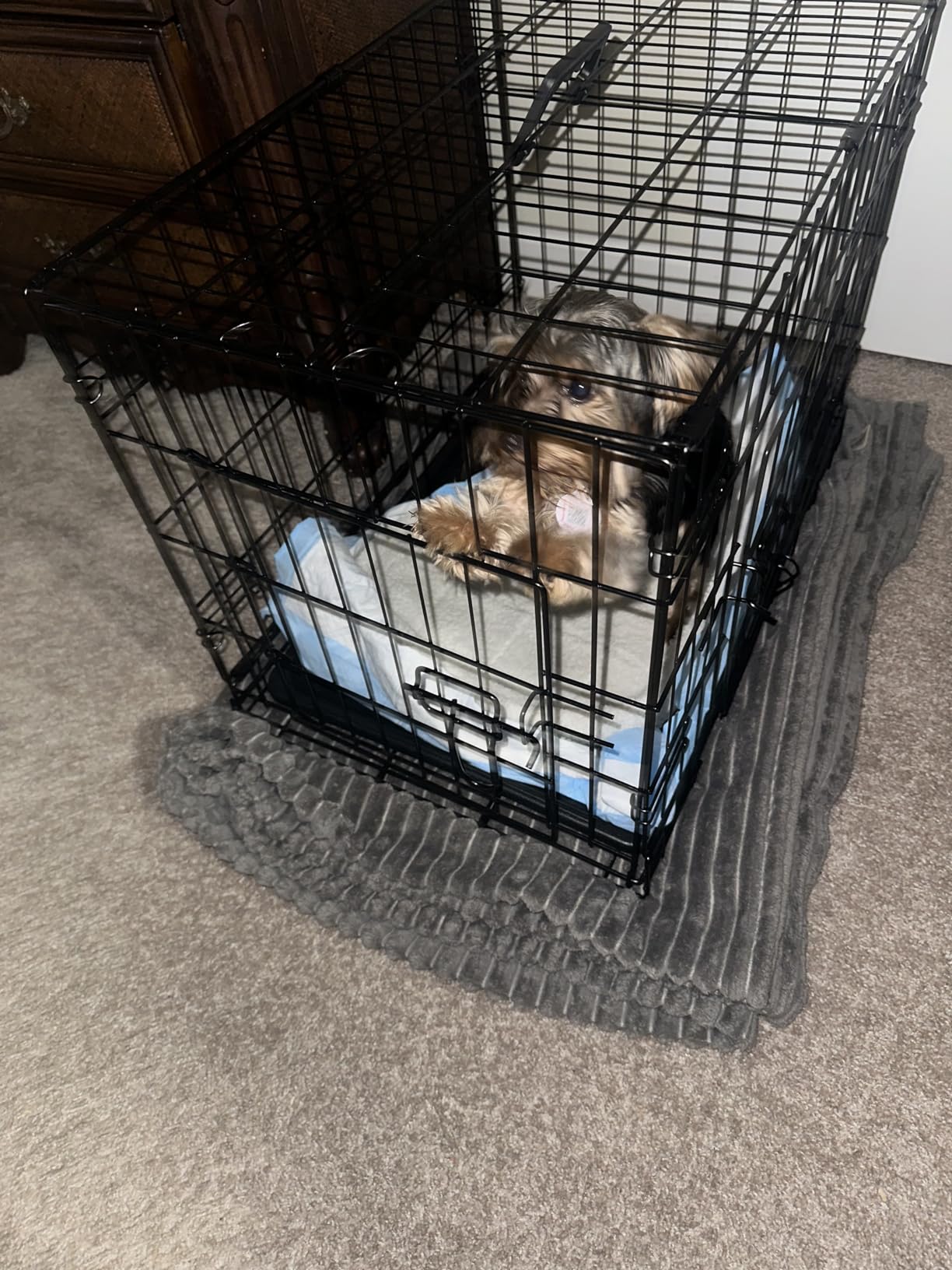 Sweetcrispy Dog Crate 42 Inch, Medium Large Dog Cage, Foldable Pet Kennel | Double Door, Metal Kennel, Secure Lock, Removable Tray, Indoor Outdoor Training Travel customer photo 2