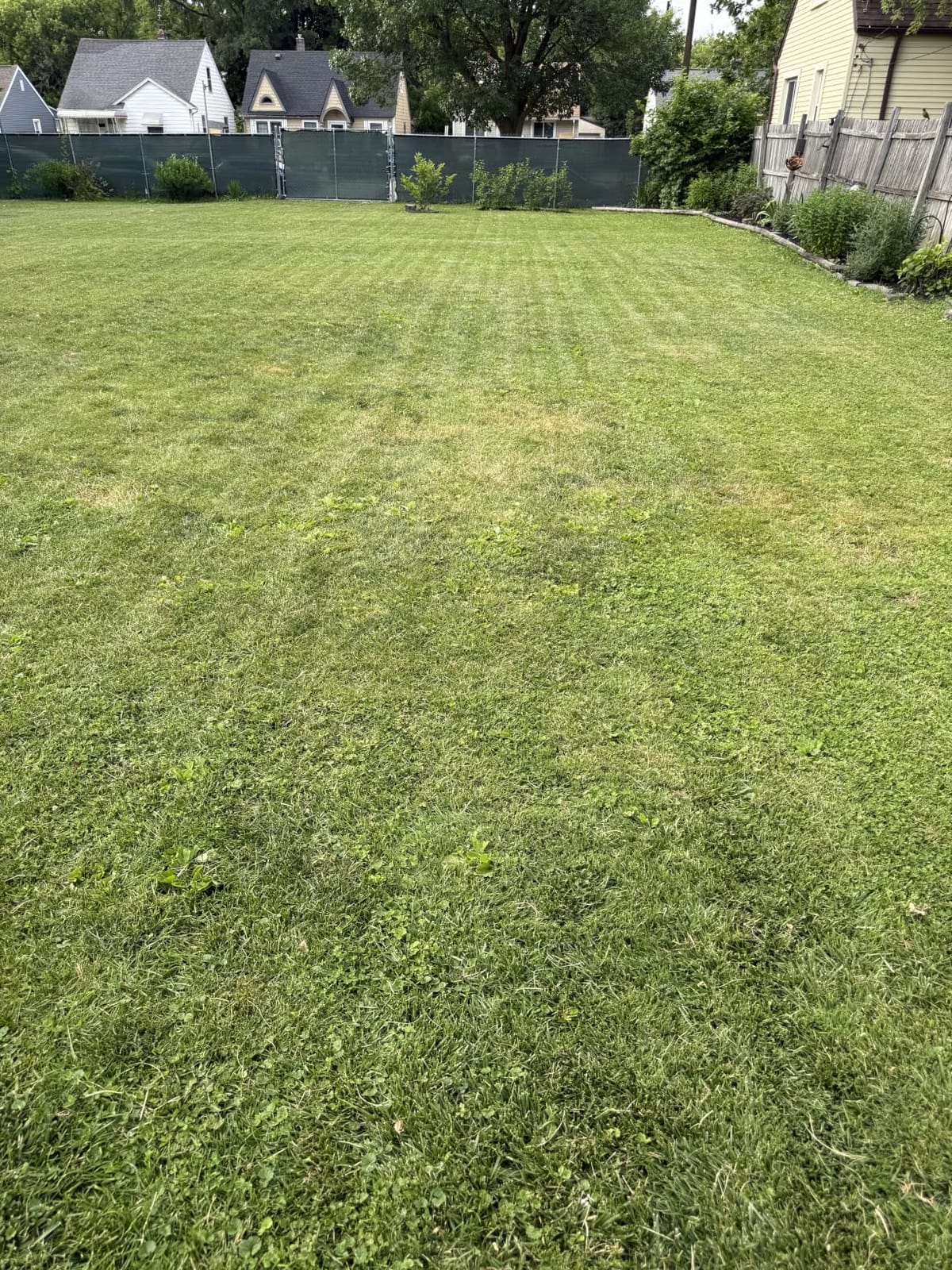 ECOVACS Goat A3000 LiDAR PRO Robotic Lawn Mower, Dual LiDAR Navigation, For Lawns Up to 3/4 Acre, Built-in TruEdge Edge Trimmer customer photo 2