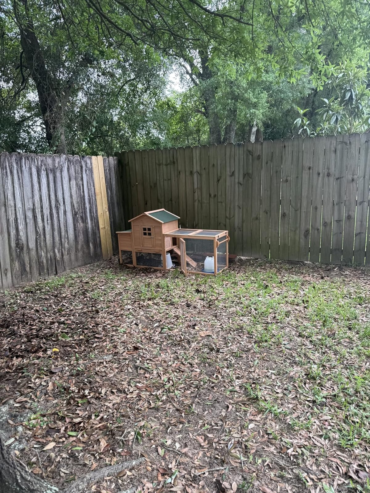 Chicken Coops for 1-2 Chickens with Wheels, Outdoor Wooden Hen House with Nesting Box, Large Rabbit Hutch, Outside Poultry House, Wire Fence Run Cages, Weatherproof for Backyard(Black) customer photo 1