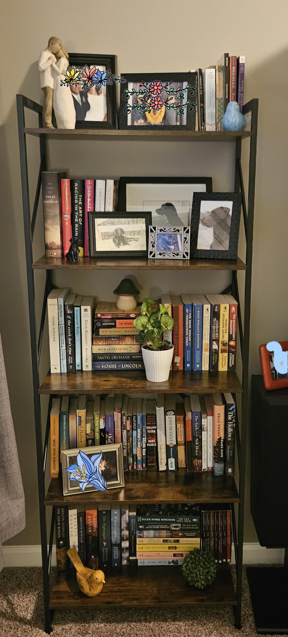 6-Tier Bookshelf, Modern Open Bookcase, 6 Shelf Display Storage Shelves Floor Standing, 71 inches Tall Shelves for Home Office, Black customer photo 1