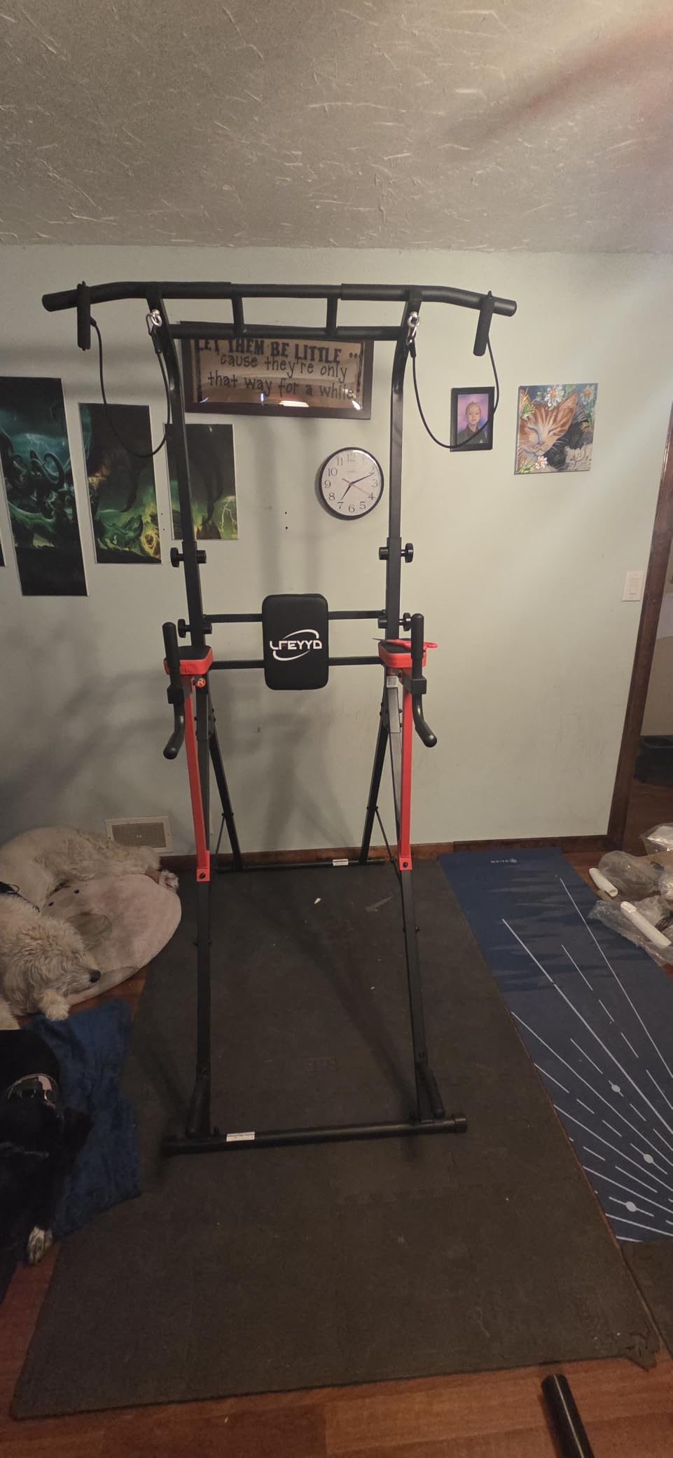Power Tower Pull Up Bar Free Standing,Multi-Level Adjustable Height Dip Station, Multi-Grip Handles,Backrest,Home Gym Strength Training Equipment with Power Elastic Ropes 400LBS Capacity customer photo 1