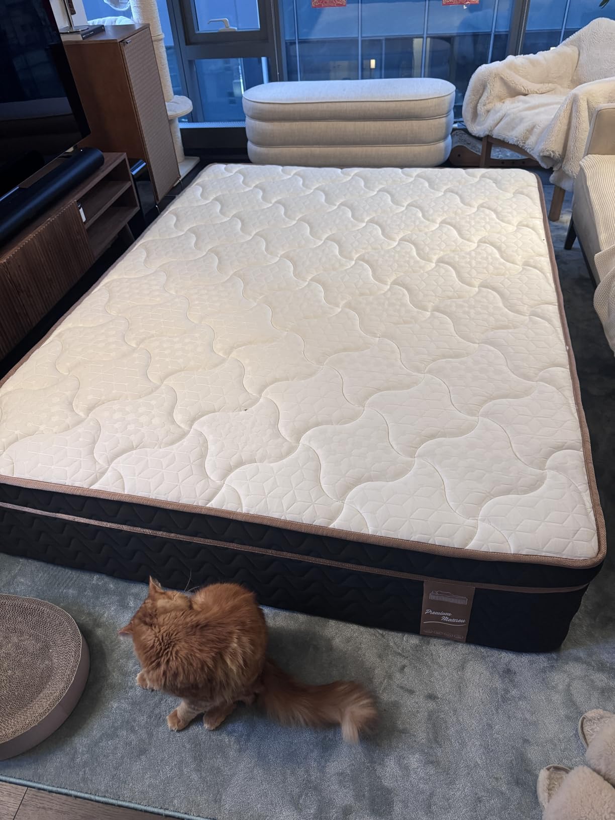 Queen Mattress 14 Inch, Luxury Hotel Cooling Hybrid Bed in a Box, Individual Pocket Springs, Motion Isolation, Targeted Hip/Shoulder/Lumbar Support, Fiberglass-Free, Ergonomic Zones, 365-Night Trial, CertiPUR-US customer photo 1