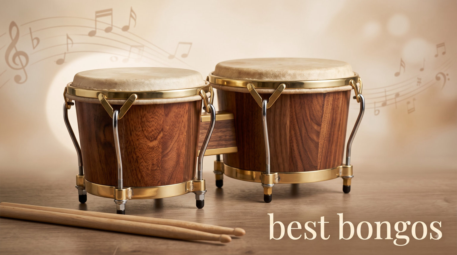 best bongos