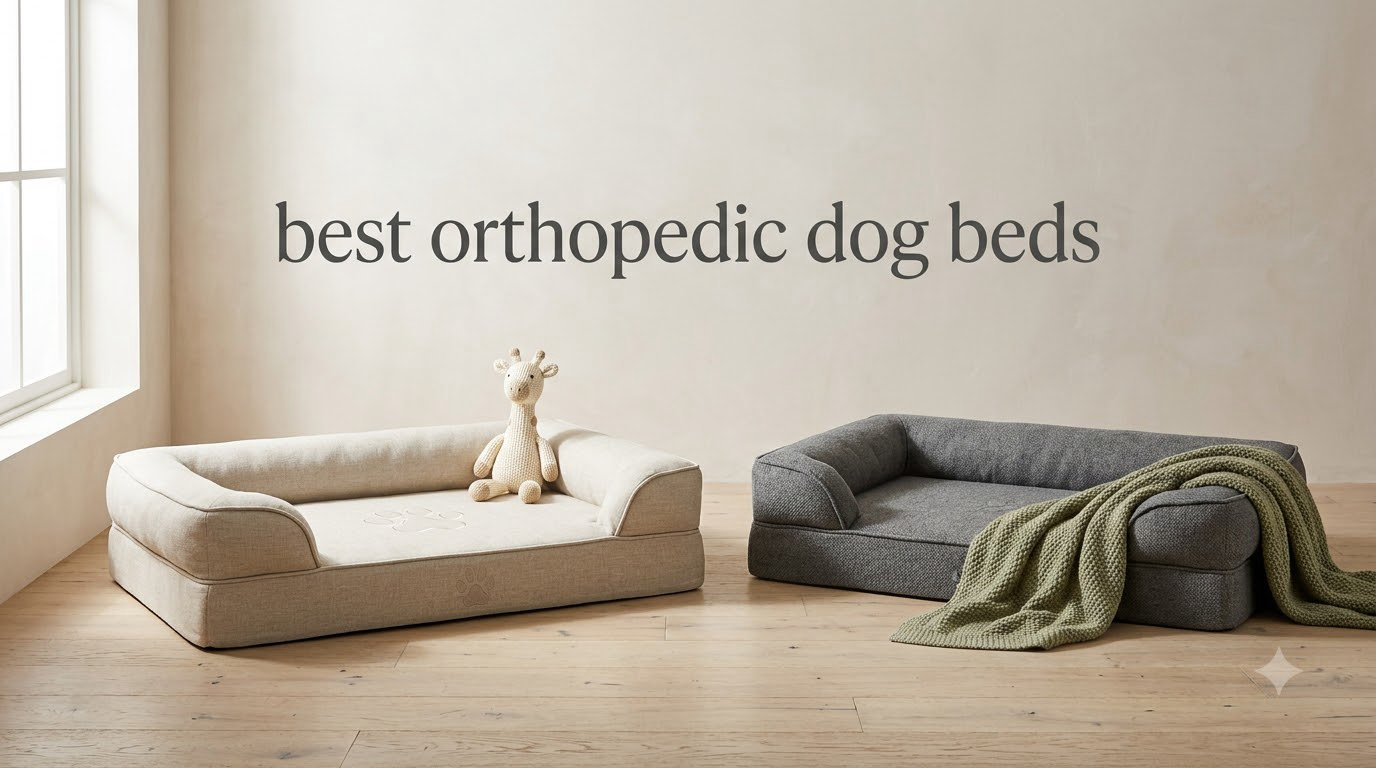 best orthopedic dog beds