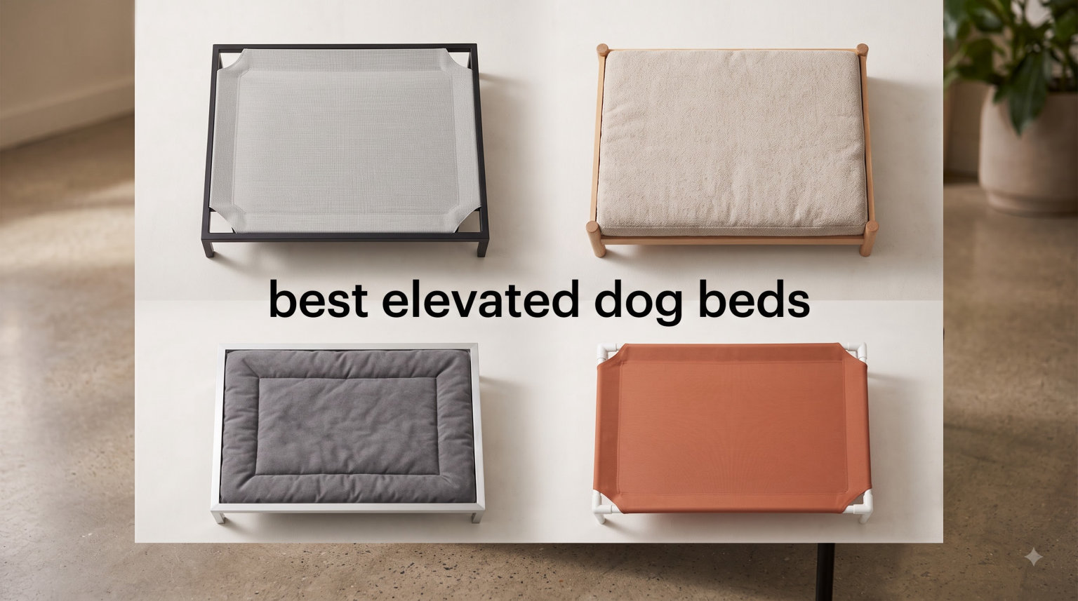 best elevated dog beds