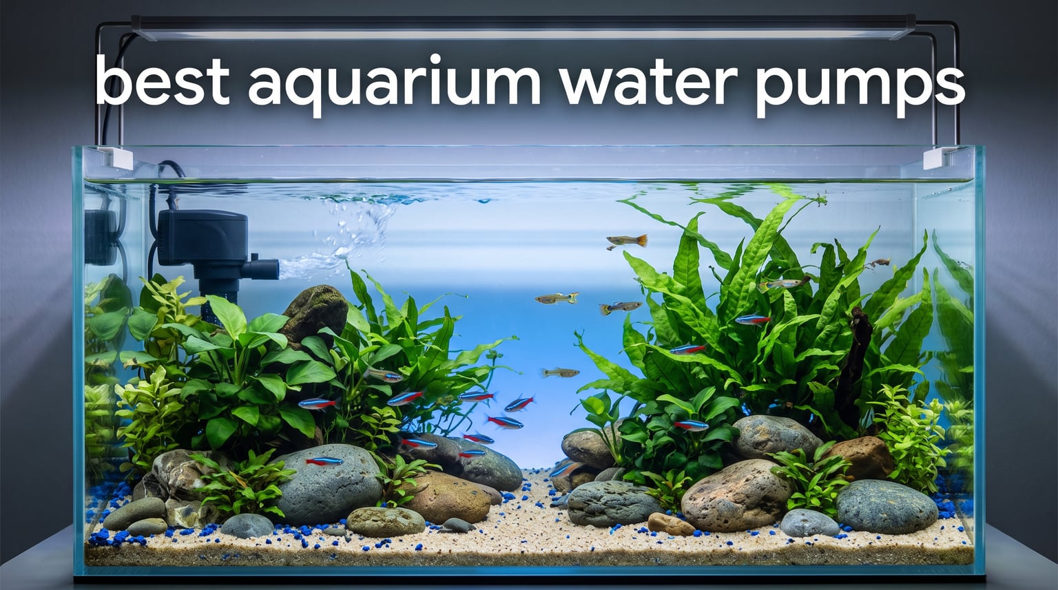 best aquarium water pumps