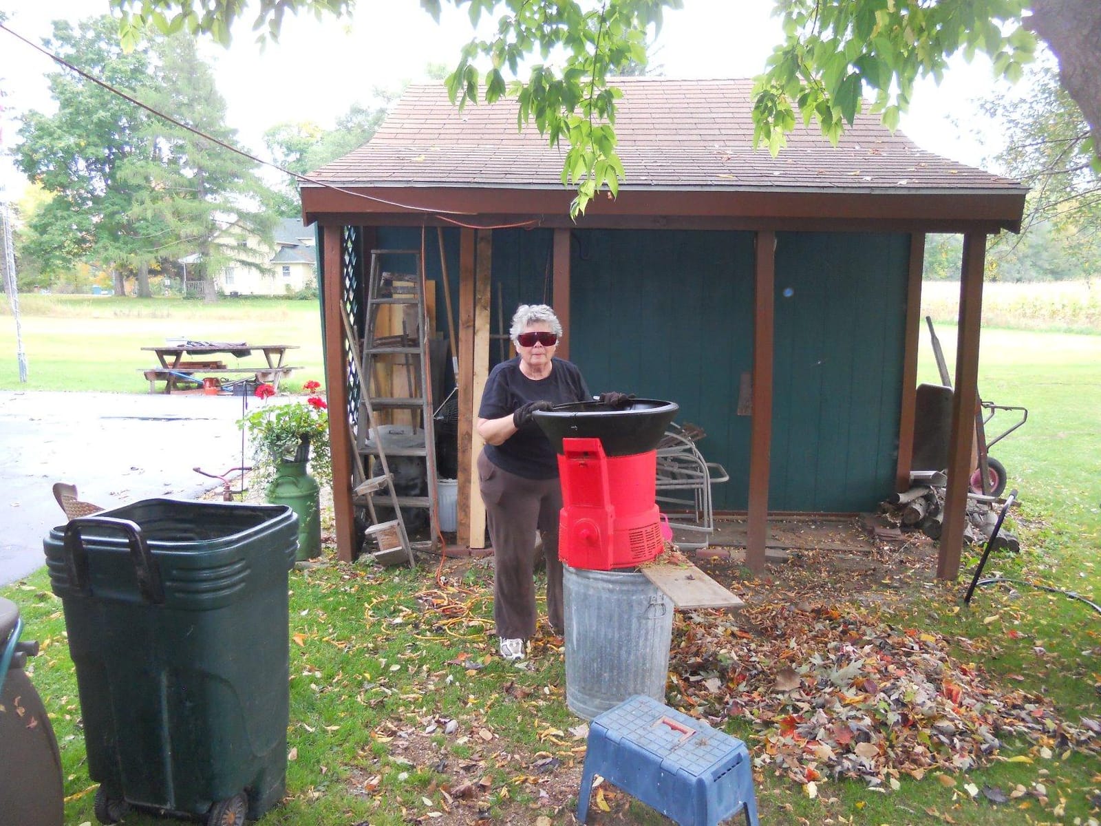 Flowtron Electric Leaf Mulcher and Shredder, 30:1 Ratio, 21 in Funnel customer photo 2