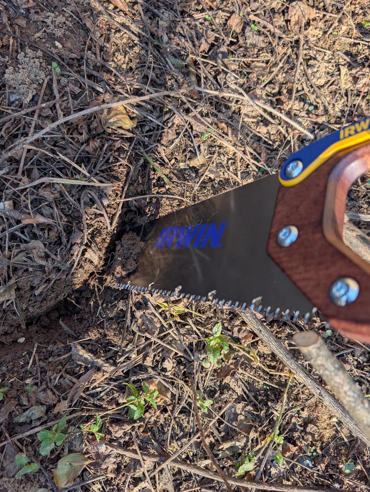 IRWIN Hand Saw, Coarse Cut, ProTouch Handle, 15-Inch (2011201) customer photo 1