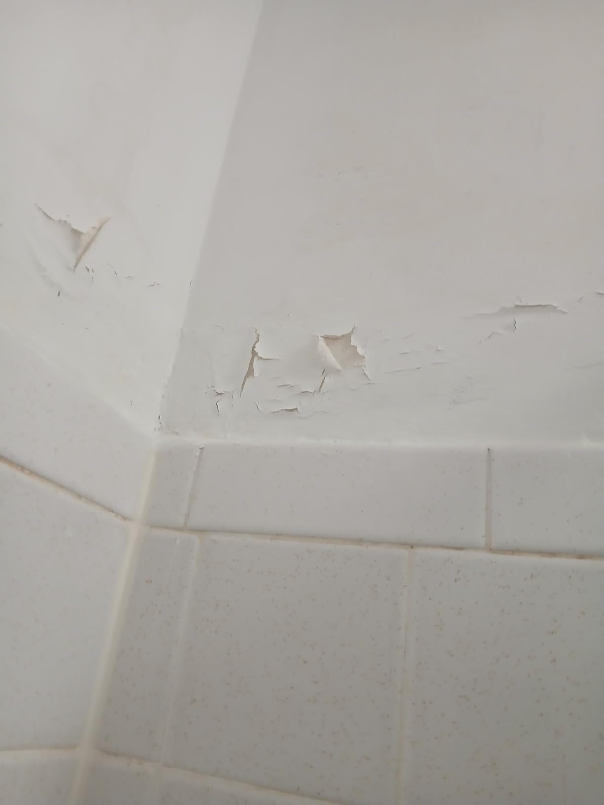 Zinsser 02774 PERMA-WHITE Mold & Mildew Proof Interior Paint, Quart, Eggshell White customer photo 2