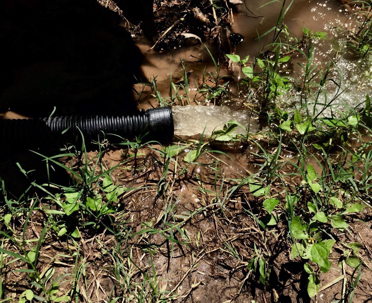 Superior Pump 92341 1/3 HP Cast Iron Submersible Sump Pump with Vertical Float Switch customer photo 2