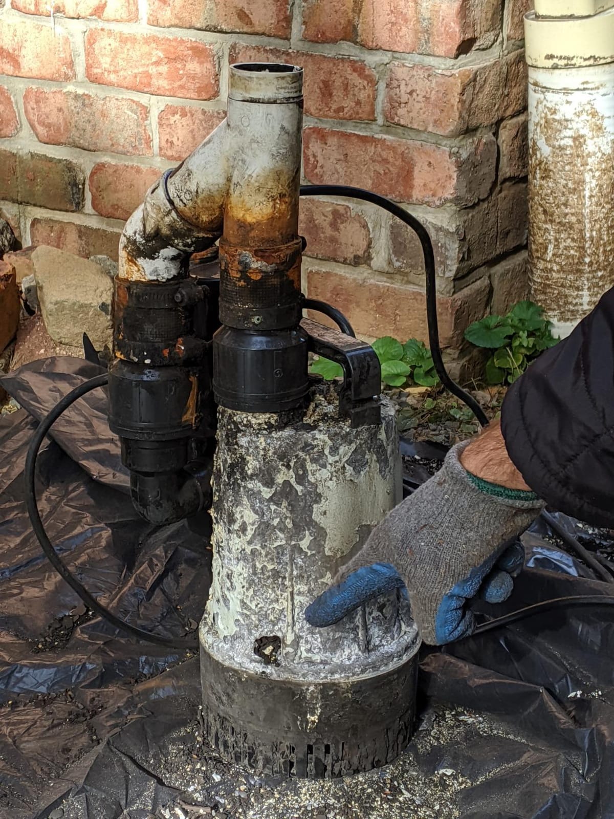 American Fluorescent Bw4000 1730 Gallons Per Hour Basement Watchdog Combination Primary and Back-Up Pump System customer photo 1