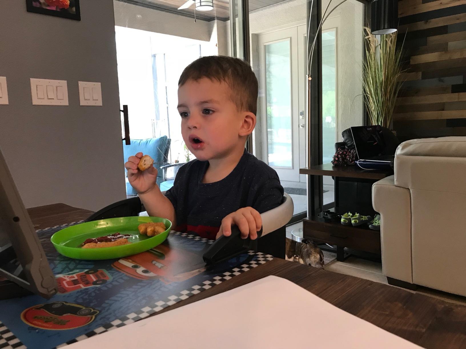 phil&teds lobster clip on portable high chair, black customer photo 2