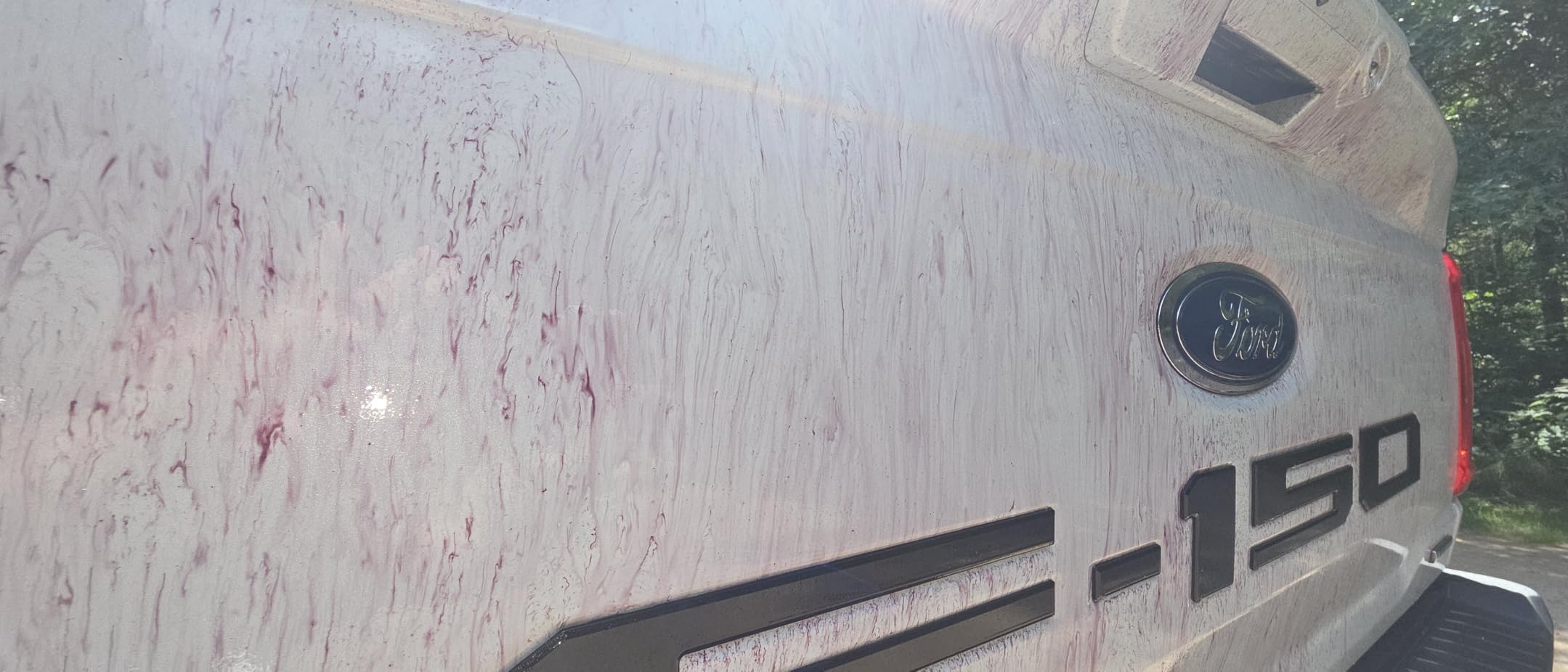 CARPRO IronX Iron Remover: Stops Rust Spots and Pre-Mature Failure of the Clear Coat, Iron Contaminant Removal - 500mL with Sprayer (17oz) customer photo 2