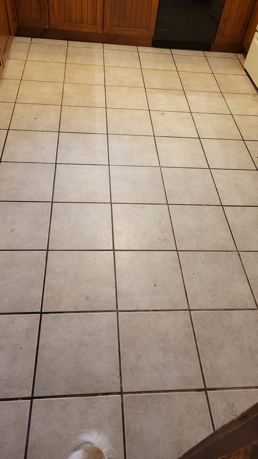 Oreck Orbiter Hard Floor Cleaner, Multi Purpose Floor Cleaning Machine customer photo 2