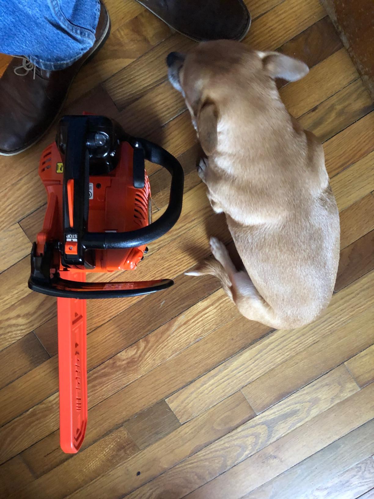 Echo Chain Saw, Gas, 12 In. Bar, 26.9CC customer photo 2