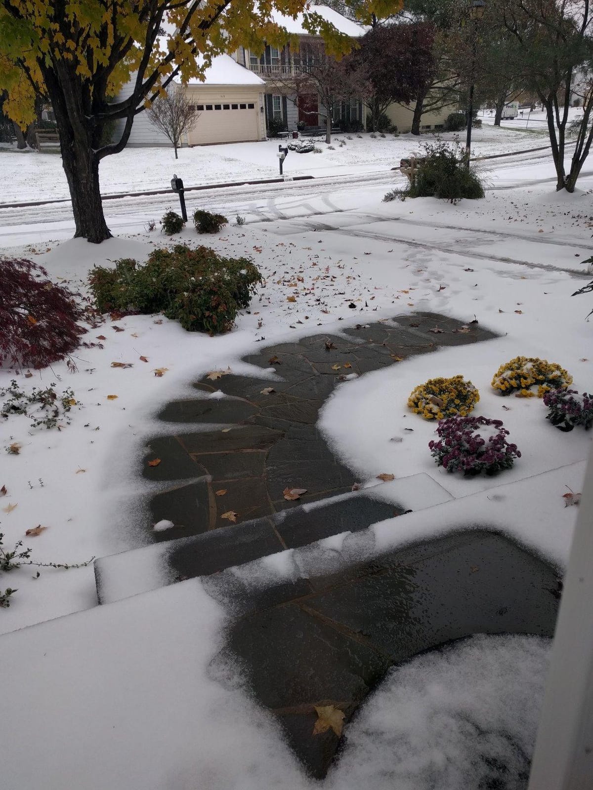 WarmlyYours PowerMat Snow Melting Mat, 3 x 15 ft, 45 sqft customer photo 1